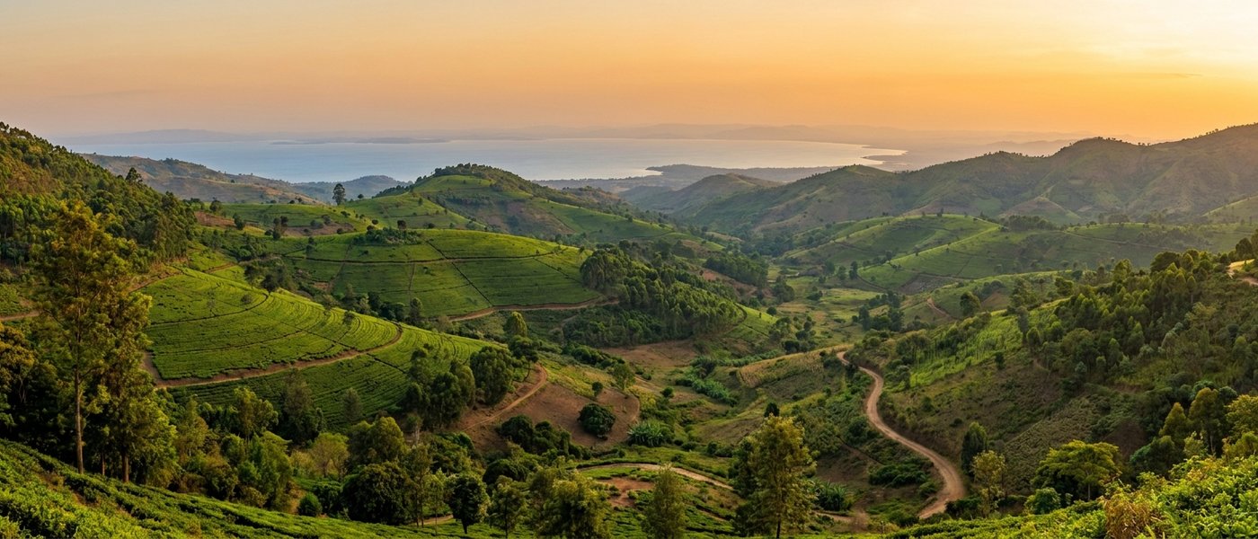 Boutique Hotels Malawi: A Host's Notes on Returning Guests