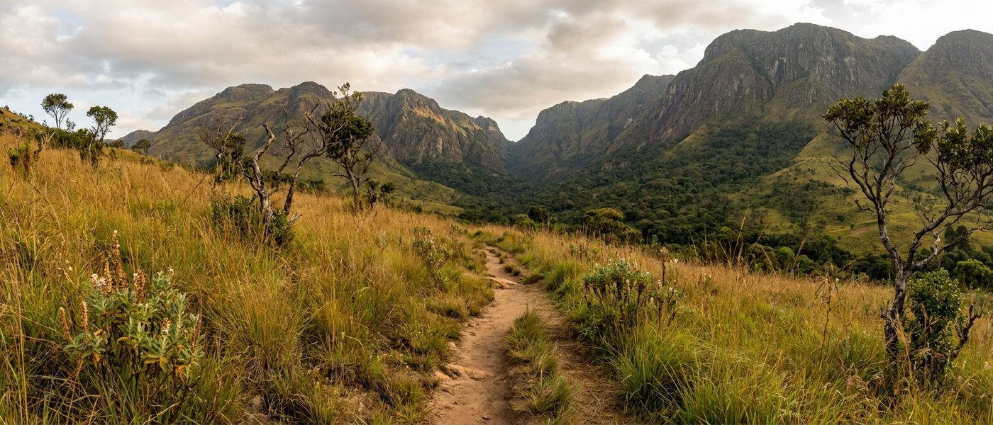 Fort Lister Mulanje: A Nature Walk Through the Forgotten Gap