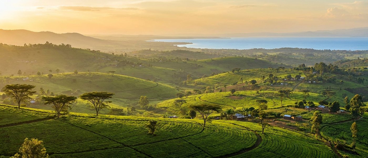 Italian Food in Malawi: How a Tea Estate Kitchen Became the Country's Best-Kept Secret