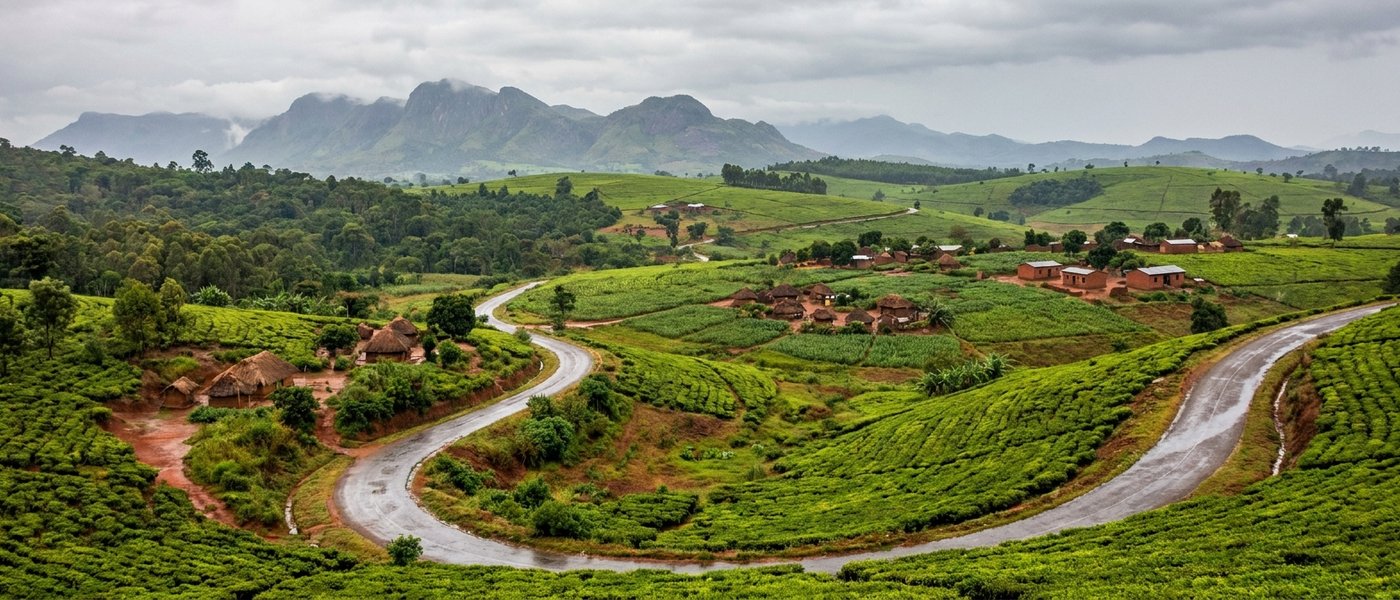 Southern Malawi Travel: A Tea Estate Host's Rainy-Day Route