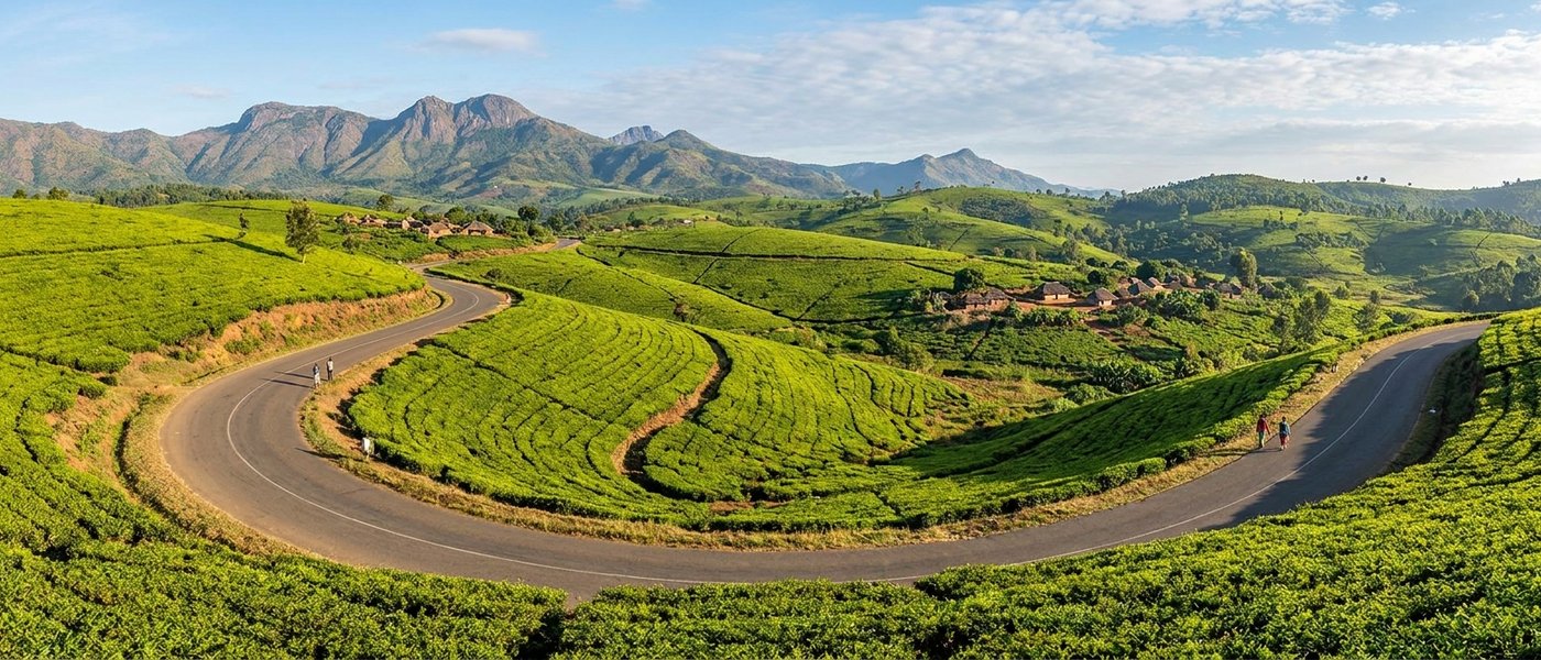 Travel Malawi in May: A Tea Estate Host's Cool-Season Notes