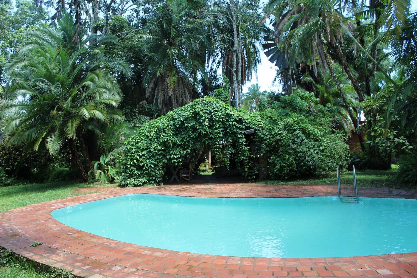 Turquoise swimming pool with brick surround, tropical plants, and vine-covered gazebo