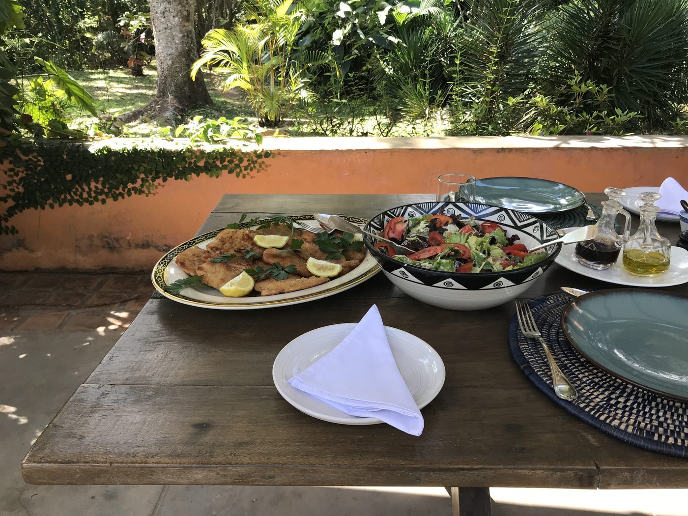 Outdoor dining — cotoletta with fresh salad, garden view in background