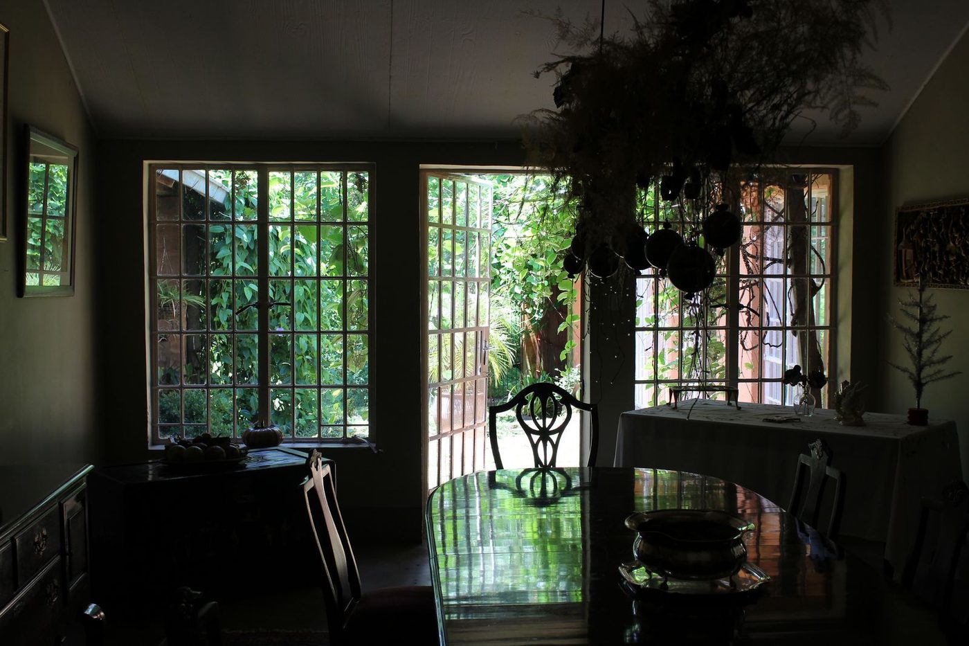 Atmospheric dining room with dark wood table and hanging plants